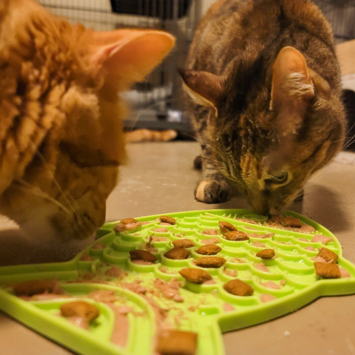 YawPaw™ Calming Lick Mat